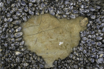 Screenshot 2025-04-28 at 5.21.08 PM